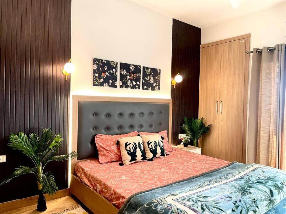 Lavish studio in Noida